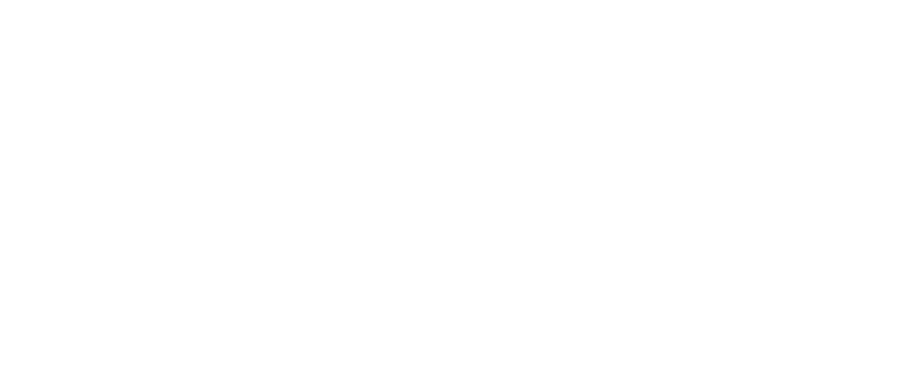 Black Diamonds New York